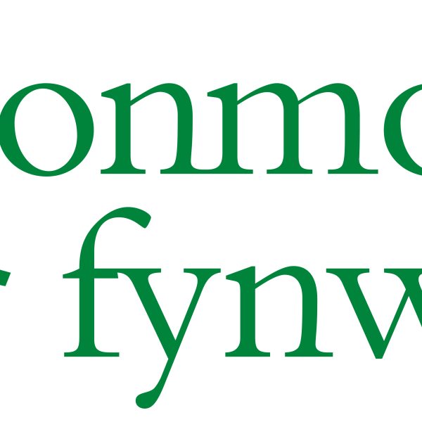 New Monmouthshire long logo