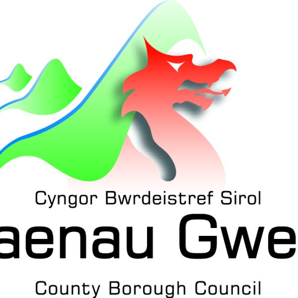 NEW Blaenau Gwent Logo